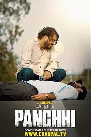 Panchhi (2021) Punjabi Movie [750MB] Movie Poster