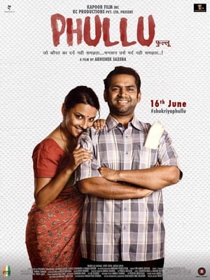 Phullu 2017 300MB Full Movie DTHRip Download Movie Poster
