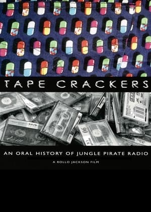 Pirate Radio (2009) Hindi Dual Audio 400MB Movie Poster