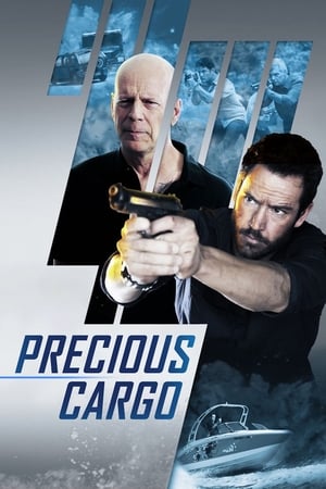 Precious Cargo (2016) Hindi Dual Audio [920MB] Movie Poster