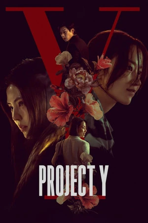 Project Y 2026 Hindi - Korean Dual Audio Movie Poster