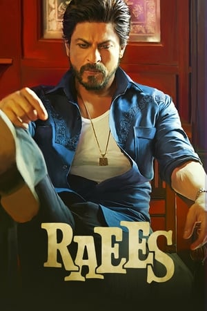 Raees 2017 400MB Full Movie Movie Poster