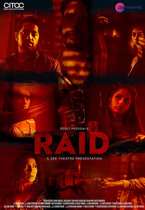 Raid 2019 Hindi Movie [650MB] Movie Poster