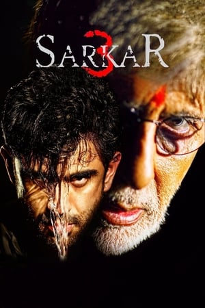 Sarkar 3 2017 Full Movie [700MB] Download Movie Poster