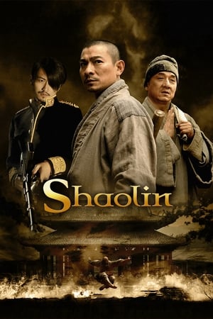 Shaolin (2011) Hindi Dual Audio 400MB Movie Poster