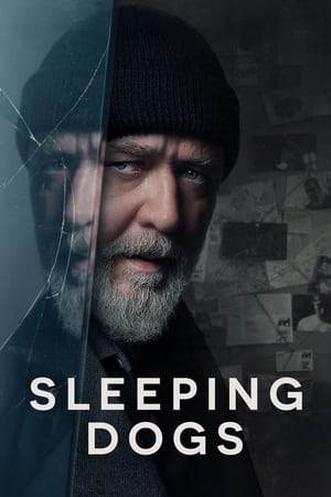 Sleeping Dogs (2024) Hindi Dual Audio – 720p – Movie Poster