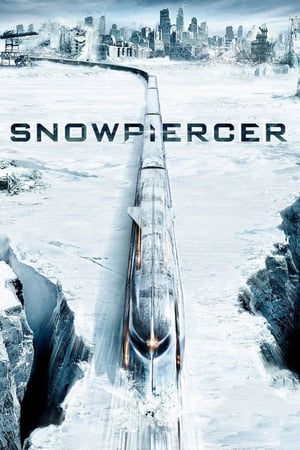 Snowpiercer (2013) Hindi Dual Audio [1.3GB] Movie Poster