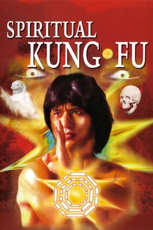 Spiritual Kung Fu 1978 Dual Audio Hindi 320MB Movie Poster