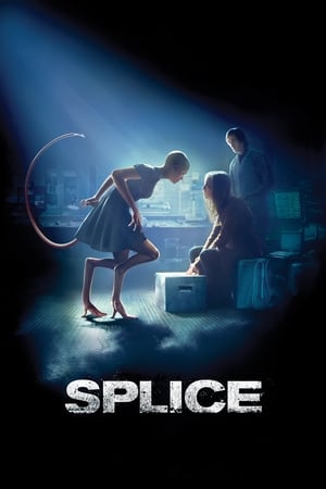 Splice 2009 Hindi Dual Audio [1.3GB] Movie Poster