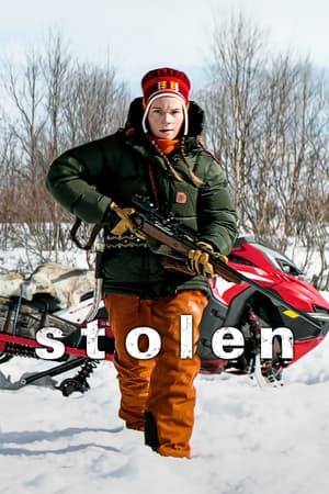 Stolen (2024) Hindi Dual Audio – 720p – Movie Poster
