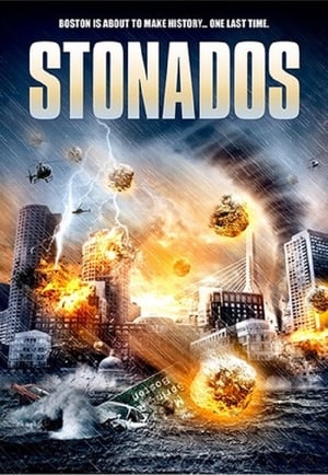 Stonados (2013) Hindi Dual Audio 300MB Movie Poster