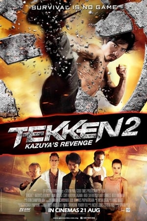 Tekken Kazuyas Revenge 2014 Hindi Dual Audio [900MB] Movie Poster