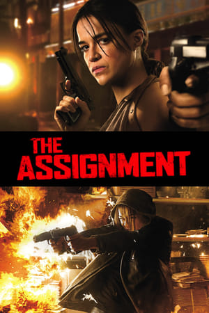 The Assignment (2016) Hindi Dual Audio [850MB] Movie Poster