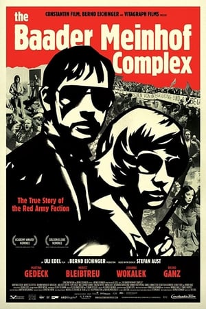 The Baader Meinhof Complex (2008) Hindi Dual Audio [1.2GB] Movie Poster
