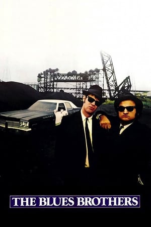 The Blues Brothers (1980) Hindi Dual Audio [1.3GB] ESubs Movie Poster