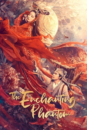 The Enchanting Phantom (2020) Hindi Dual Audio [1GB] Movie Poster