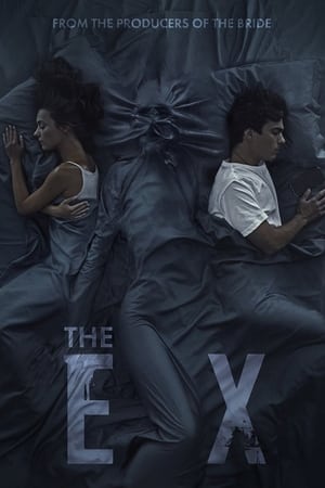 The Ex (2021) Hindi Dual Audio – Movie Poster