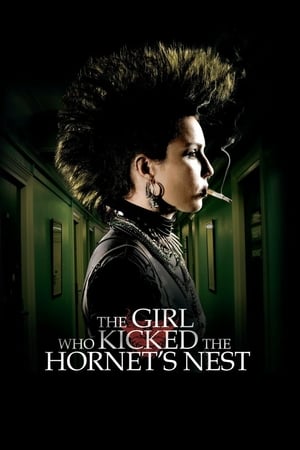 The Girl Who Kicked the Hornet's Nest (2009) Hindi Dual Audio [1.2GB] Movie Poster