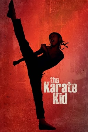 The Karate Kid 2010 Hindi Dubbed 1GB Movie Movie Poster