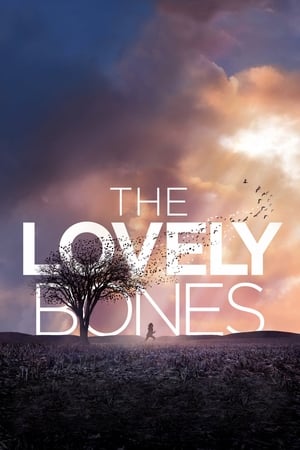 The Lovely Bones (2009) Hindi Dual Audio 430MB Movie Poster