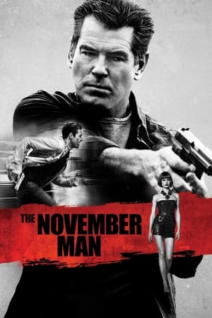 The November Man 2014 100mb Hindi Dual Audio movie Download Movie Poster