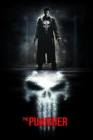 The Punisher 2004 Hindi Dual Audio 380MB Movie Poster