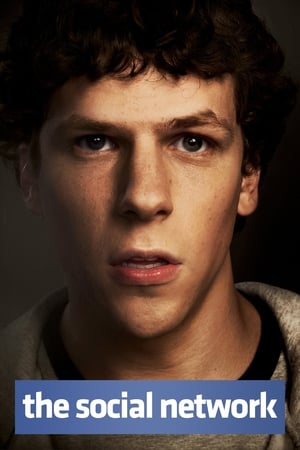The Social Network 2010 Hindi Dual Audio [800MB] Movie Poster