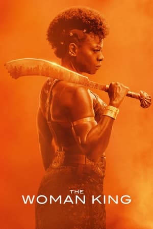 The Woman King 2022 Hindi (Cleaned) Dual Audio – Movie Poster