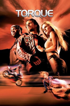 Torque 2004 300MB Hindi Dual Audio Download Movie Poster