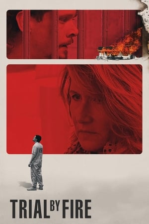 Trial by Fire 2018 Hindi Dual Audio 400MB Movie Poster