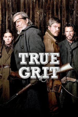 True Grit (2010) Hindi Dual Audio 350MB Movie Poster