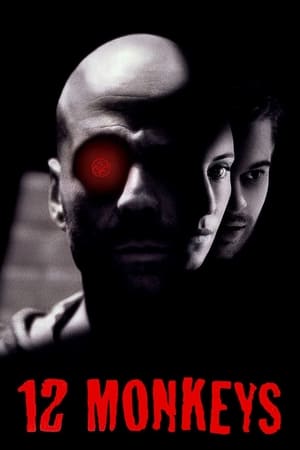 Twelve Monkeys (1995) Hindi Dual Audio 450MB Movie Poster