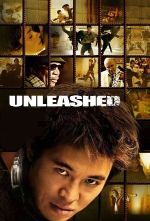 Unleashed (2005) Hindi Dual Audio [1.1GB] Movie Poster
